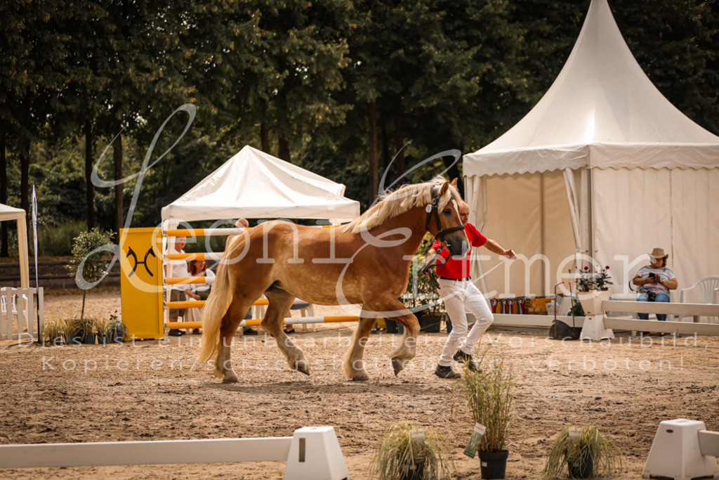 3.Sa00062 | Leoni Ertmer Photography - Realisiert mit Pictrs.com