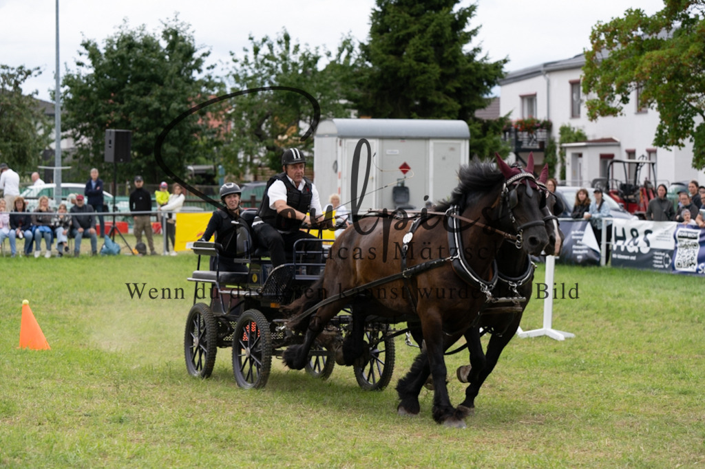 A7V06161 | Turnier/Reitfotograf