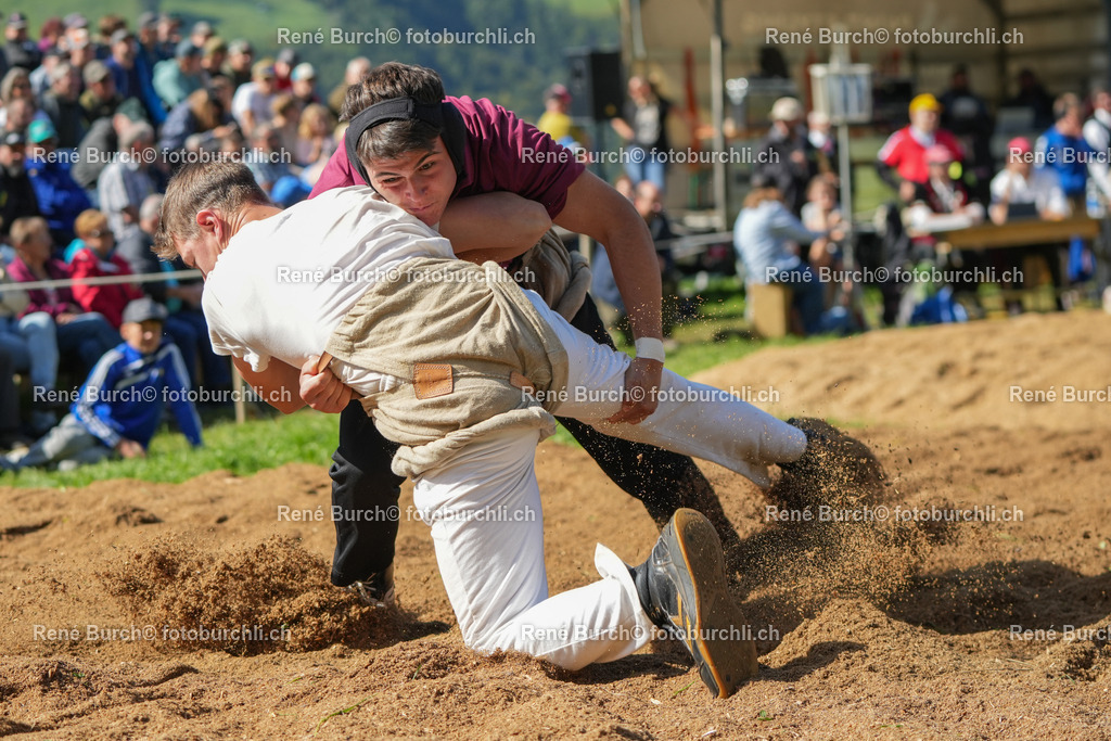 RB_00882-2 | René Burch leidenschaftlicher Fotograf aus Kerns in Obwalden.  Hier finden sie Sport, Landschaft und Natur Fotografie.
 - Realisiert mit Pictrs.com