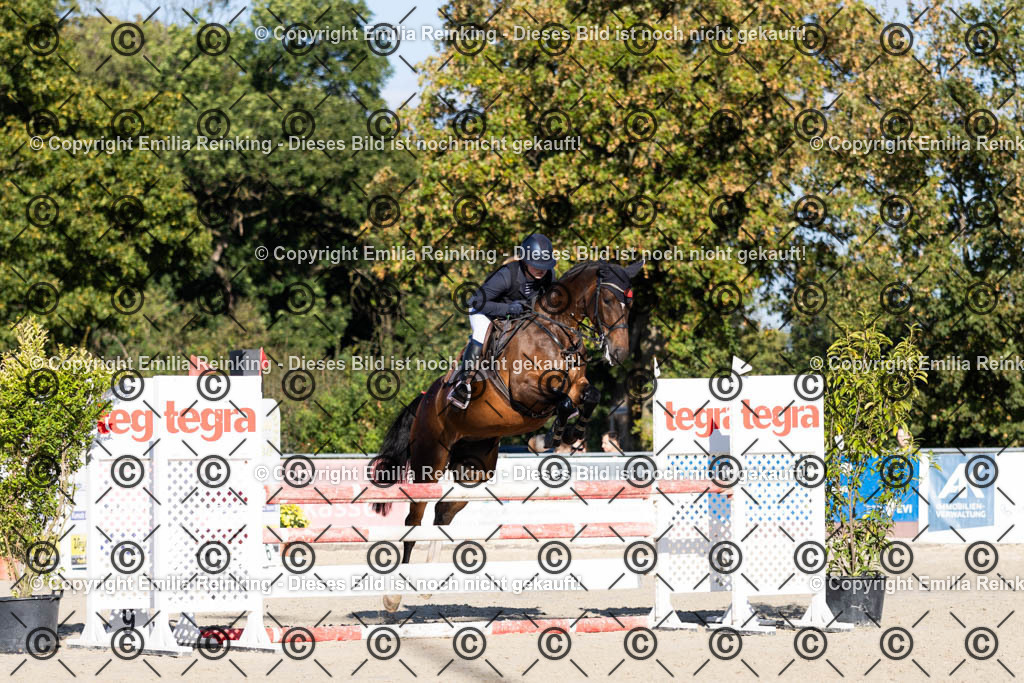 CL5A4334 | Emilia Reinking Fotografie - Realisiert mit Pictrs.com