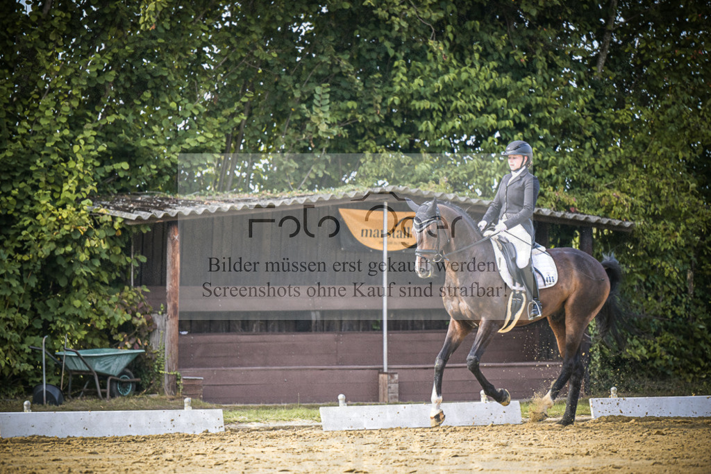 DOS_8735 | Entdecke hochwertige Reitturnierfotos von Foto Oger. Professionell, emotional und authentisch – jetzt Lieblingsmomente im Shop bestellen.Deutschlandweite Turnierfotografie. - Realisiert mit Pictrs.com