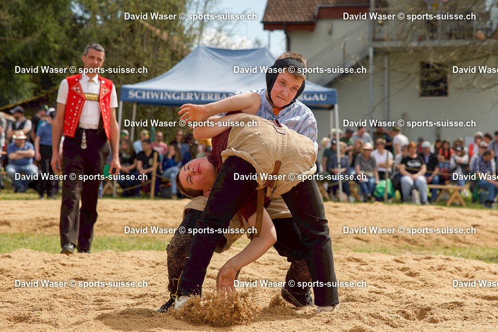 Blum Fynn (2013) - Hermann Tim (2014) 06.04.2026 HEMISHOFEN_ SCHAFFHAUSER FRÜHLINGSSCHWINGFEST-1 | Blum Fynn (2013) - Hermann Tim (2014) 06.04.2026 HEMISHOFEN, SCHAFFHAUSER FRÜHLINGSSCHWINGFEST