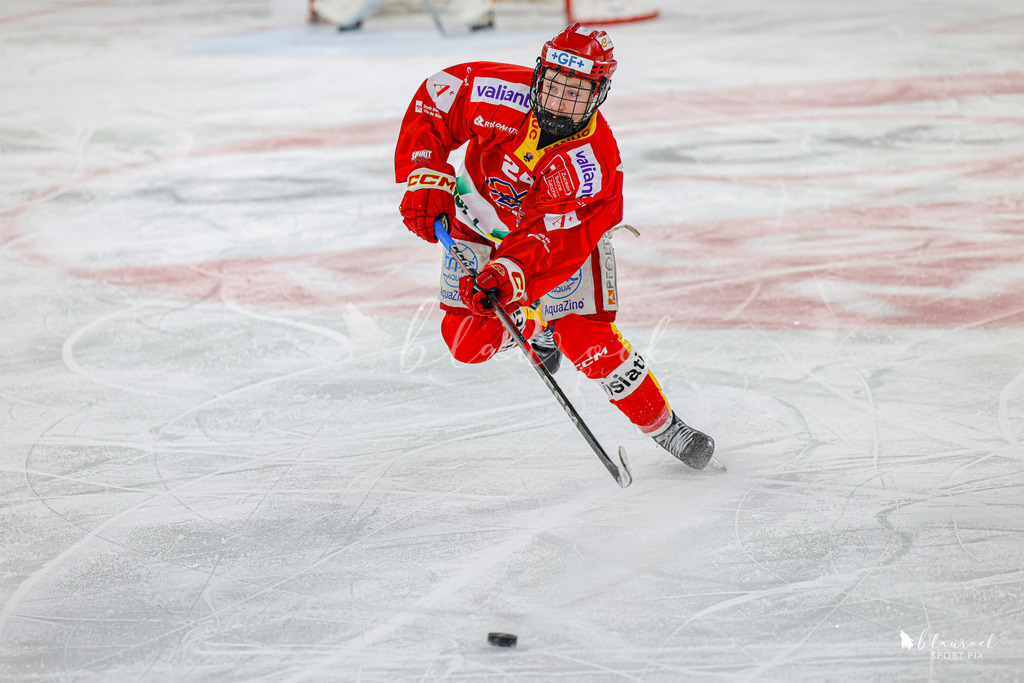 EHCB Spirit vs HCFG_wb-7997 | Sportbilder, Sportfotograf, Hochzeits- und Eventfotografin, Flugshows, Portraits und Tiershooting, Aviation, Downhill, Nationalleague, Swissleague, International