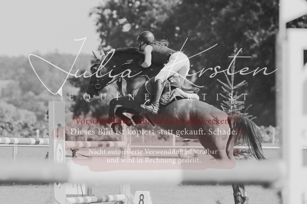 DSC_6470 | Pferde- und Turnierfotografie in Westsachsen. Pferdeportraits, Auftragszeichnungen und intuitive Kunst.