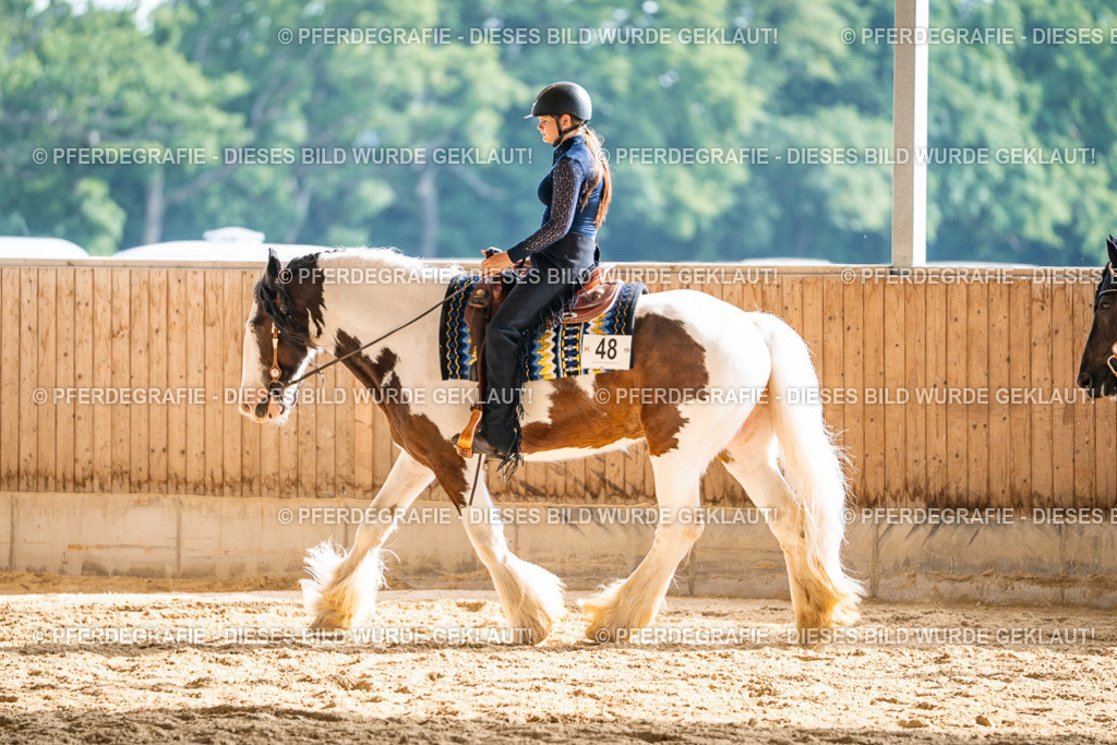 DSC08275 | Pferdegrafie