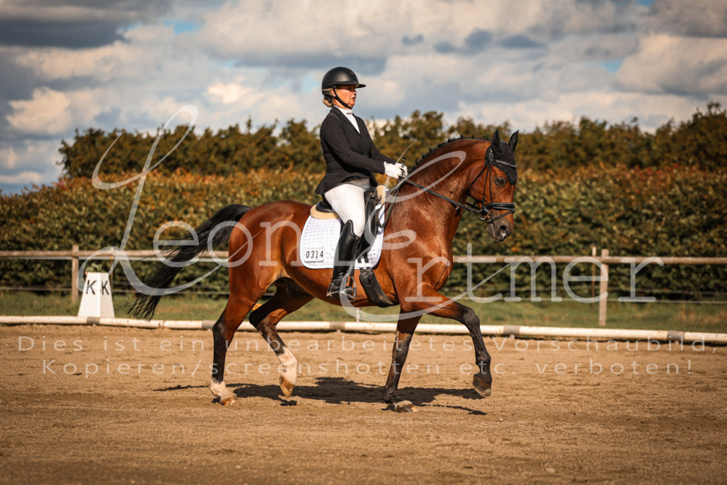 15.SaDrL00386 | Leoni Ertmer Photography - Realisiert mit Pictrs.com