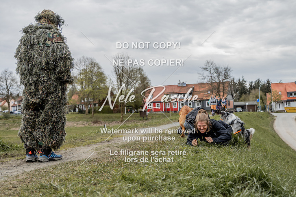 NR__2668 | nelerasche