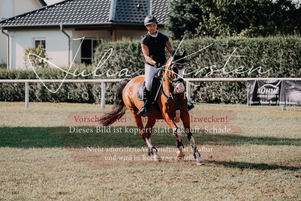 DSC_4723 | Pferde- und Turnierfotografie in Westsachsen. Pferdeportraits, Auftragszeichnungen und intuitive Kunst.