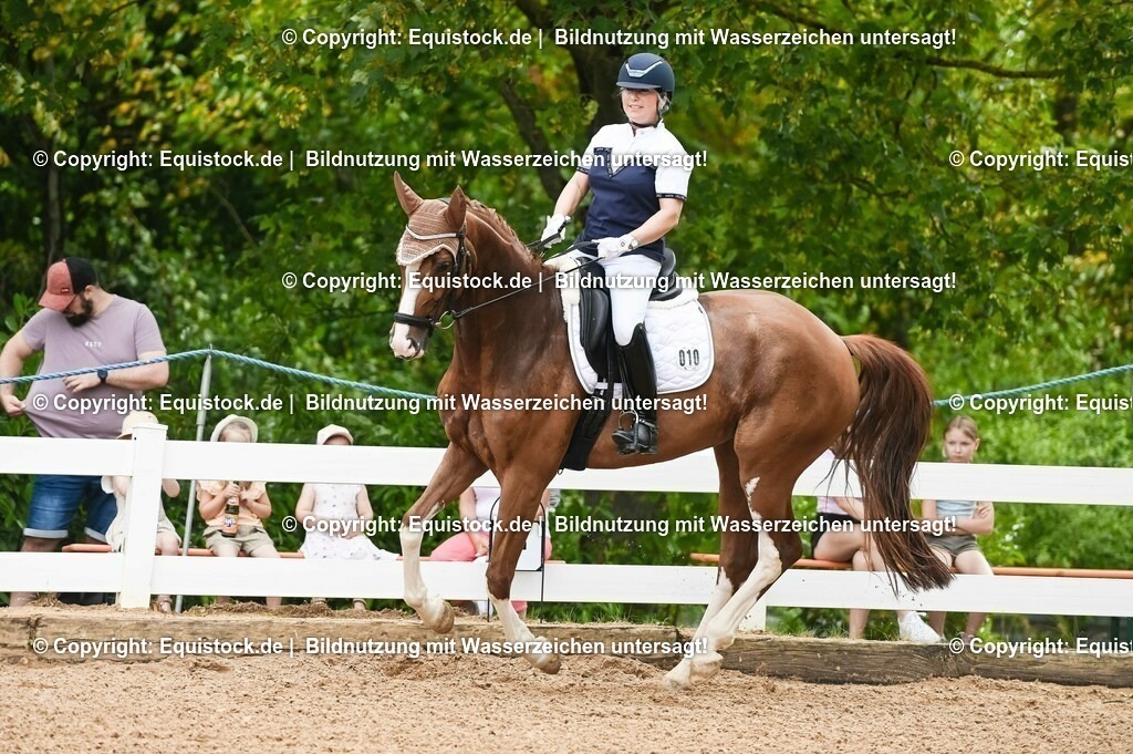 20230715_07_Dressurpferdeprfg. Kl.L_0040 | equistock