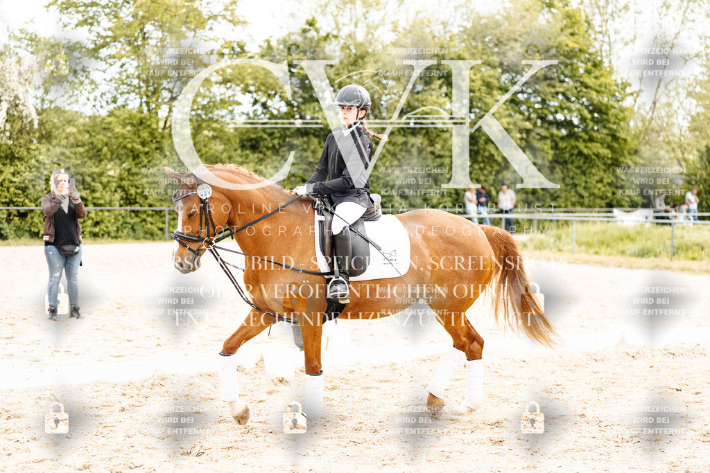 CK904388 | Turnierfotografie Pferdefotografie Trier Rheinland-Pfalz Pferdesport Reitsport Tierfotografie Sportfotografie Pferdevideo Pferdevideografie Equestrianvideography equestrianphotography  - Realisiert mit Pictrs.com