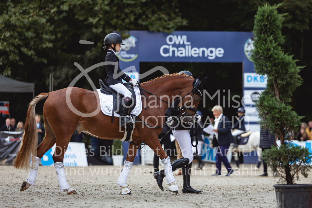 240915_OWLCh_FuehrzuegelWB-608 | Deine schönsten Turniermomente als professionelle Fotos! Entdecke hochwertige Pferdesport-Fotografie im Online-Shop. Jetzt Fotos finden & bestellen!