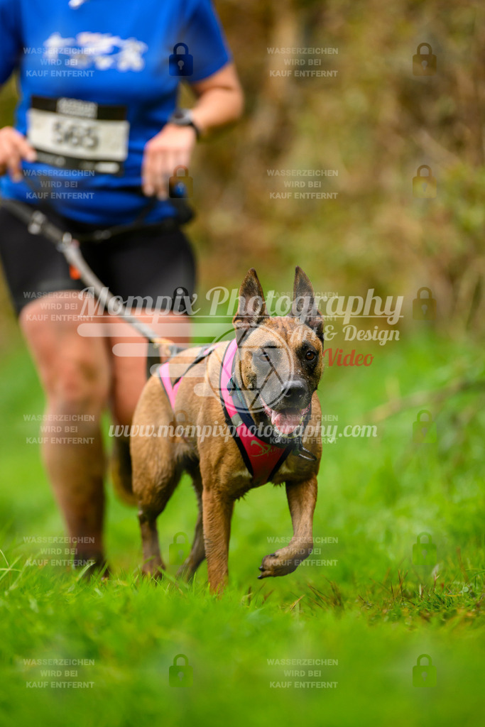 MompixPhotography_20TSB_E8_Run-77 | PayLife