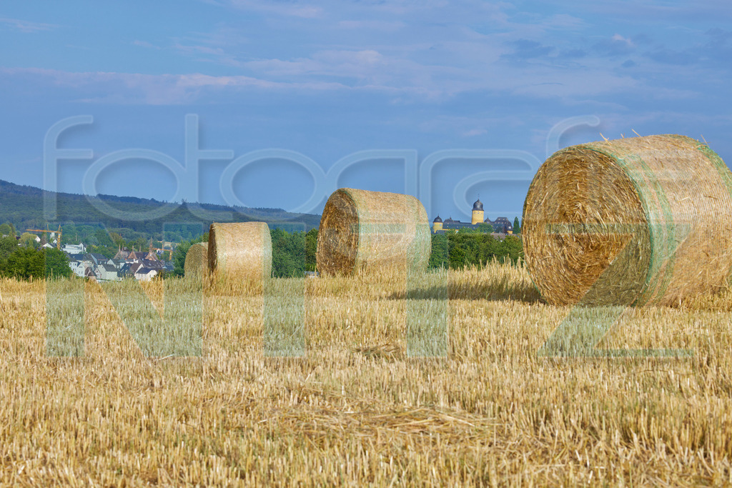 2022-07-29 06-52-51__5_19900 | Nitz Fotografie aus Montabaur bietet Ihnen hier die Möglichkeit Bilder auszusuchen und zu bestellen. 