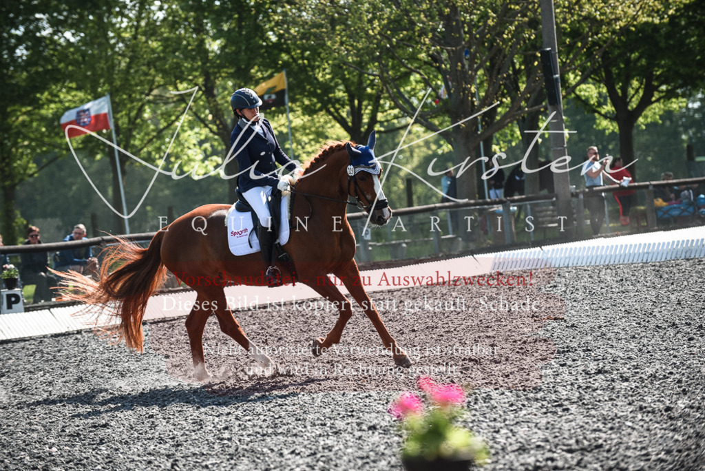 DSC_8861 | Pferde- und Turnierfotografie in Westsachsen. Pferdeportraits, Auftragszeichnungen und intuitive Kunst.