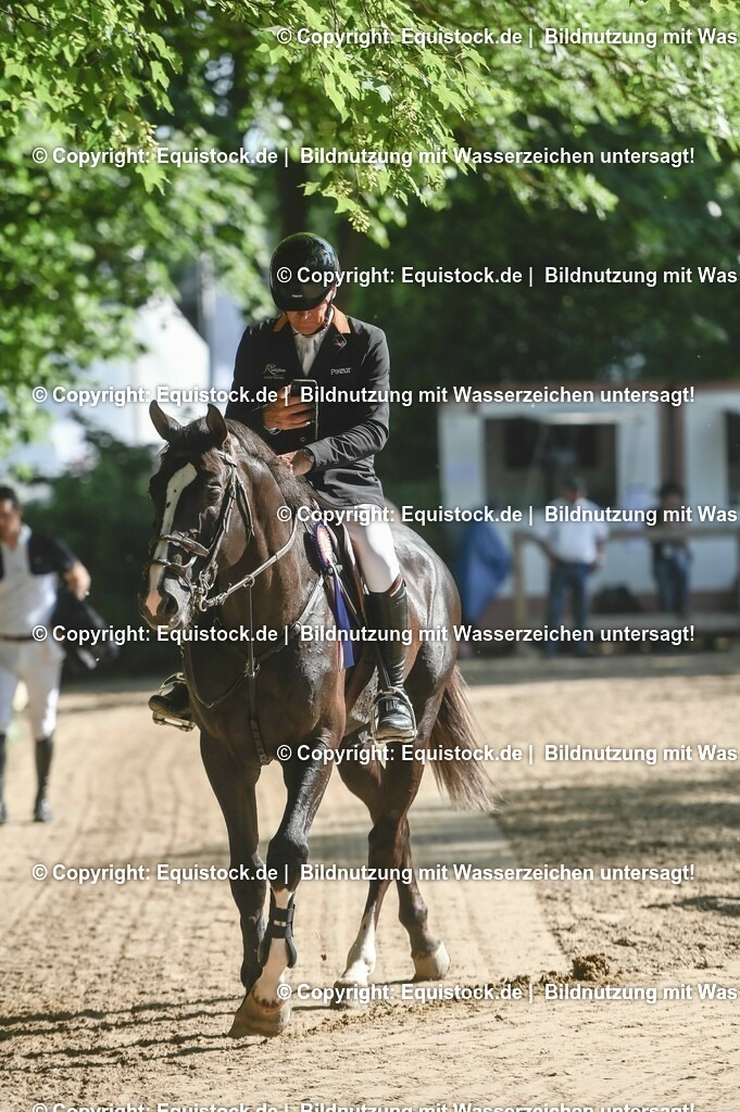 D78_3637 | equistock