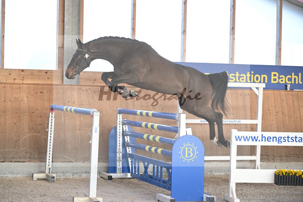 Kat-Nr. 21 Courchevel B v. Cizero Z_Bachl_14262182 | hf-fotografie - Realisiert mit Pictrs.com