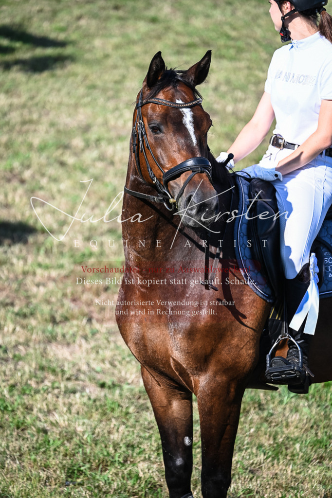 DSC_2608 | Pferde- und Turnierfotografie in Westsachsen. Pferdeportraits, Auftragszeichnungen und intuitive Kunst.