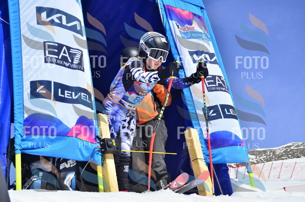 _ELE0464 | holidayphoto