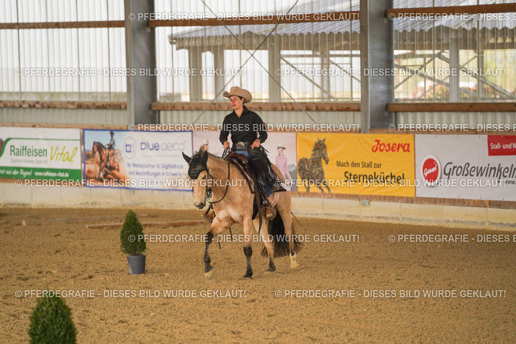 DSC01433 | Pferdegrafie