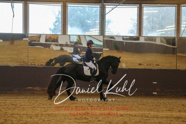 IMG_7918 | Turniersportfotografie; Pferdefotografie; Dressurfotografie