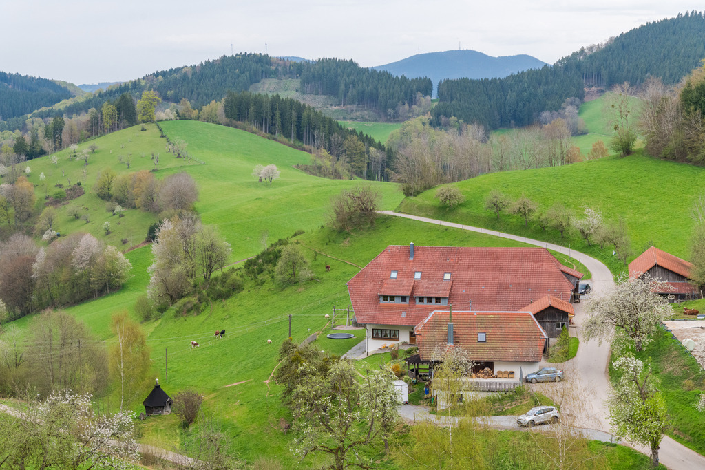Blick auf den Jungbauernhof | Blick auf den Jungbauernhof - Realisiert mit Pictrs.com