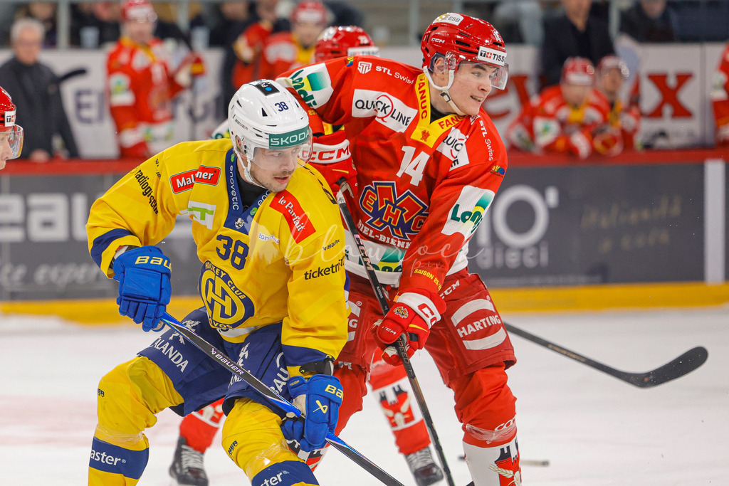 EHCB vs HCD 20260106_wb-1119 | Sportbilder, Sportfotograf, Hochzeits- und Eventfotografin, Flugshows, Portraits und Tiershooting, Aviation, Downhill, Nationalleague, Swissleague, International