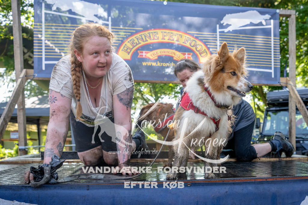 1523_ZZ91132 | kk-dogfotos