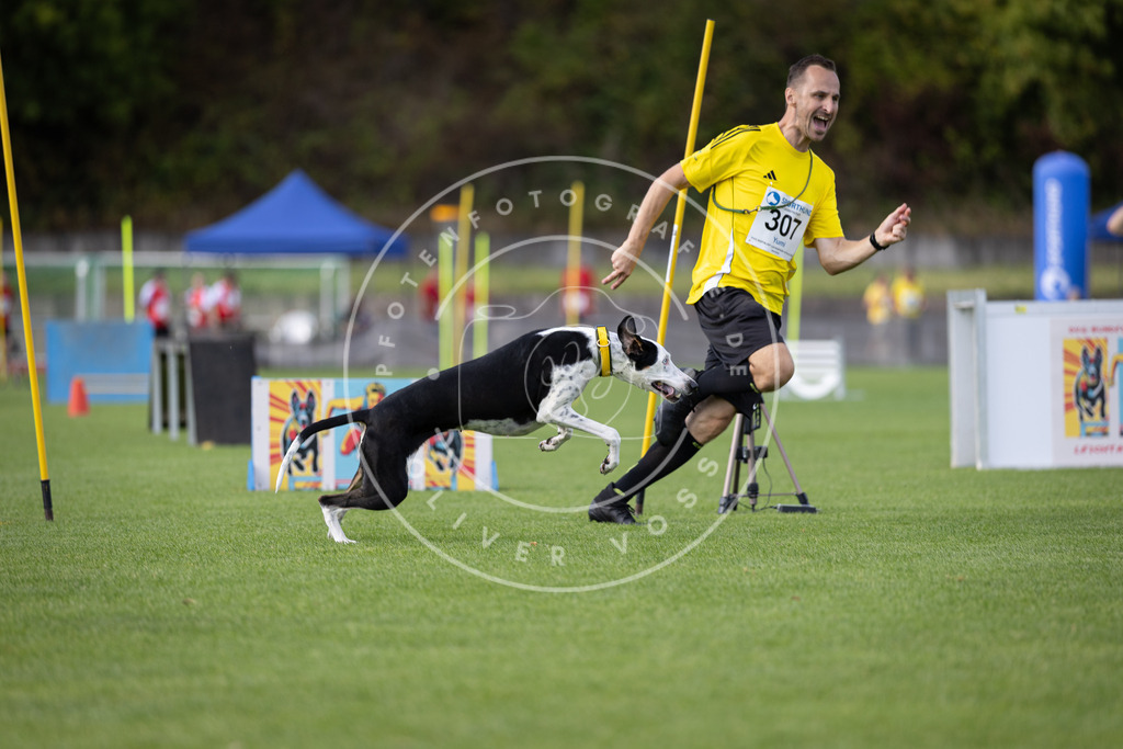 Pfotenfotografie_DV3A1639 | Hundefotografie, Tierfotograf, Pfotenfotografie, Fotoshooting Hund, Hunde Portrait, Hundesport, Hundeportraits, Heideshooting, Hunde, Sportfotograf, Hundefotograf, Turnierhundsport, THS,  - Realisiert mit Pictrs.com