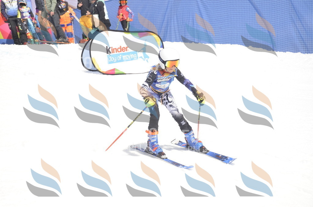 _ELE9062 | holidayphoto