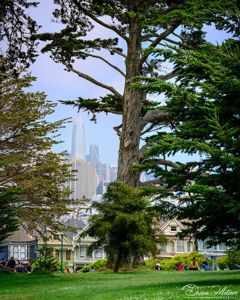 San Francisco  | San Francisco in der Vereinigten Staaten von Amerika