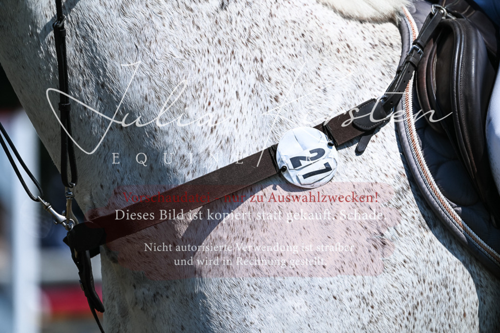 DSC_0247 | Pferde- und Turnierfotografie in Westsachsen. Pferdeportraits, Auftragszeichnungen und intuitive Kunst.