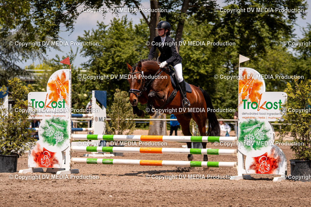 Eppelheim Tag 3-401 | dv-media-shop - Realisiert mit Pictrs.com