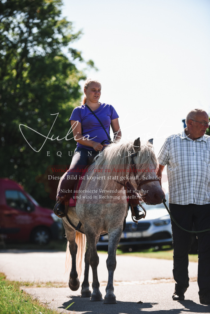 DSC_2691 | Pferde- und Turnierfotografie in Westsachsen. Pferdeportraits, Auftragszeichnungen und intuitive Kunst.