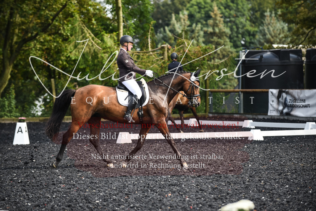 DSC_3074 | Pferde- und Turnierfotografie in Westsachsen. Pferdeportraits, Auftragszeichnungen und intuitive Kunst.