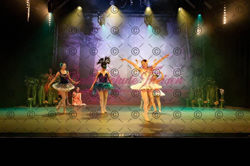 Ballettaufführung-22 | Bildershop Lem'n Entertainment - Realisiert mit Pictrs.com