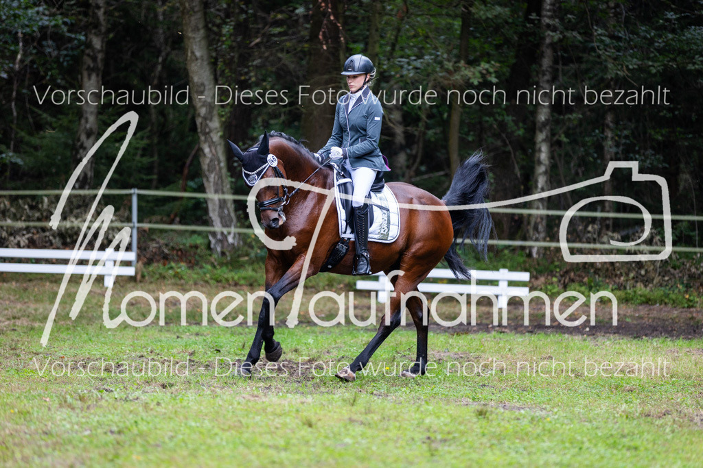 HB-A-Dressur-091 | MomenTaufnahmen Pferdesportfotos