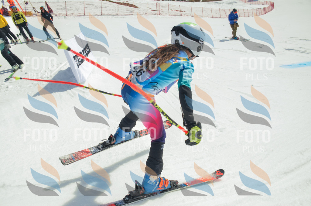 _ELE5131 | holidayphoto