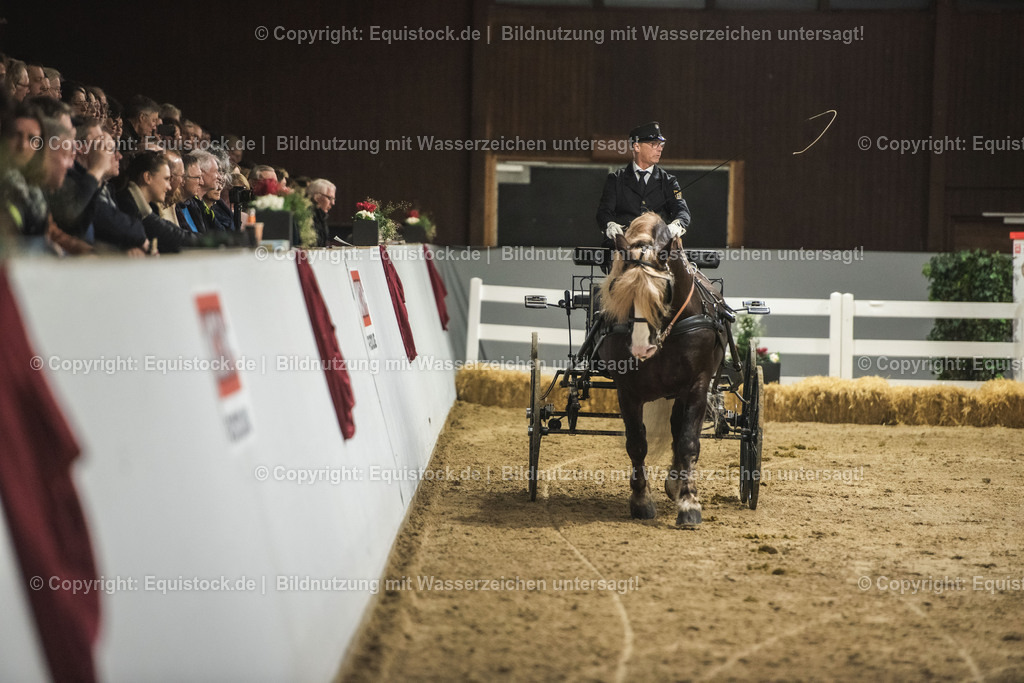 20240302_Hengstvorstellung_Marbach_TOMsPiC_0619 | equistock