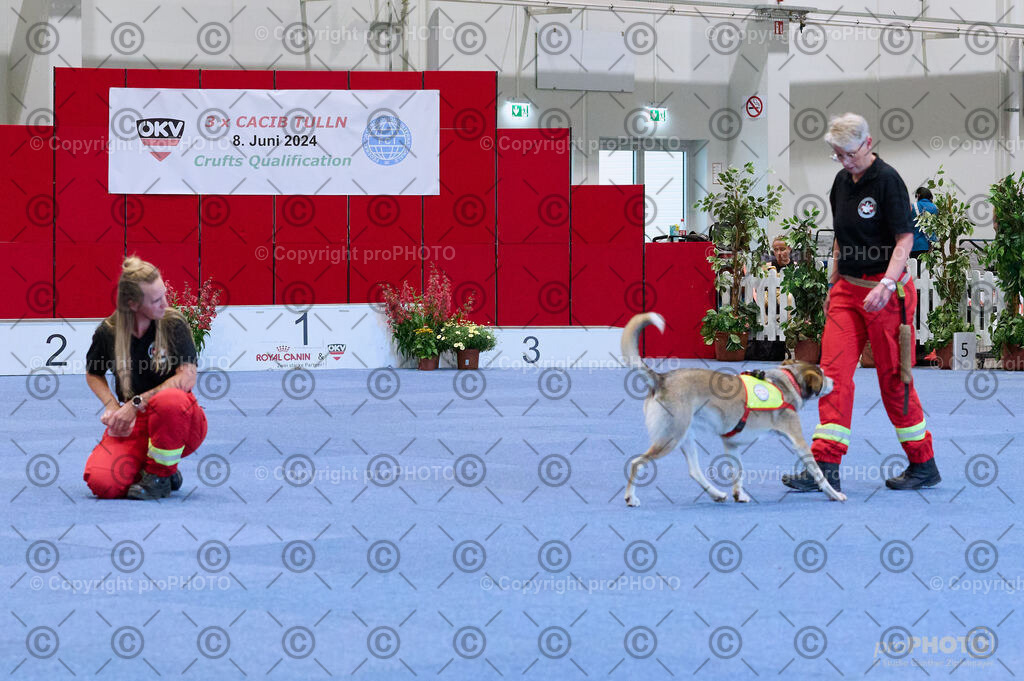 202406_ÖKV-IHA-Tulln24_DSC_3476 | proPHOTO - Realisiert mit Pictrs.com