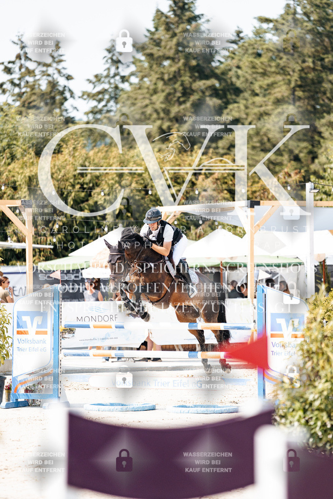 CK901367 | Turnierfotografie Pferdefotografie Trier Rheinland-Pfalz Pferdesport Reitsport Tierfotografie Sportfotografie Pferdevideo Pferdevideografie Equestrianvideography equestrianphotography  - Realisiert mit Pictrs.com
