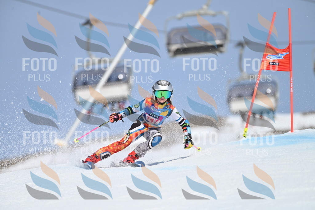 BGV_0266 | holidayphoto