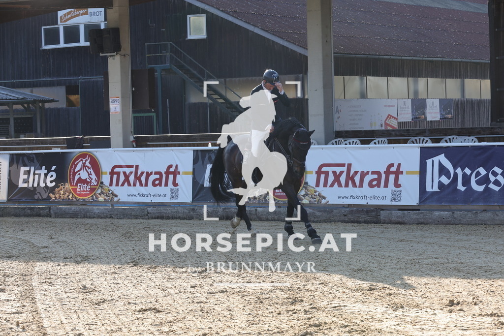 0P6A8382 | Willkommen bei Brunnmayr - Design & Fotografie – Ihrem Spezialisten für Reitturniere und Pferdeveranstaltungen in Oberösterreich, Salzburg und Bayern! Seit über 17 Jahren sind wir leidenschaftlich dabei.