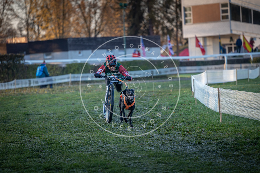 CaniXpix_0L8A1402 | Hundefotografie, Tierfotograf, Pfotenfotografie, Fotoshooting Hund, Hunde Portrait, Hundesport, Hundeportraits, Heideshooting, Hunde, Sportfotograf, Hundefotograf, Turnierhundsport, THS,  - Realisiert mit Pictrs.com