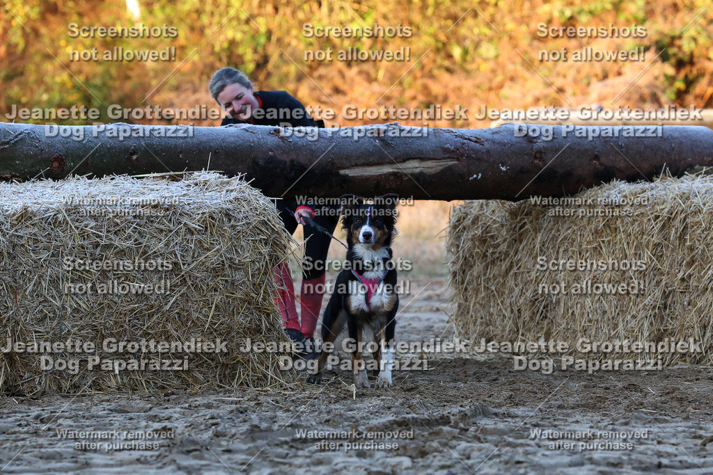 Dog Paparazzi - Strongdog 10-25-414 | Dog Paparazzi Jeanette Grottendiek Fotografie & Videografie - Realisiert mit Pictrs.com