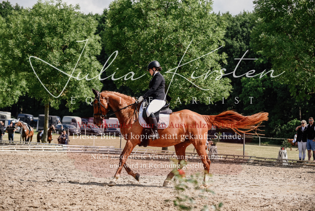 DSC_0328 | Pferde- und Turnierfotografie in Westsachsen. Pferdeportraits, Auftragszeichnungen und intuitive Kunst.