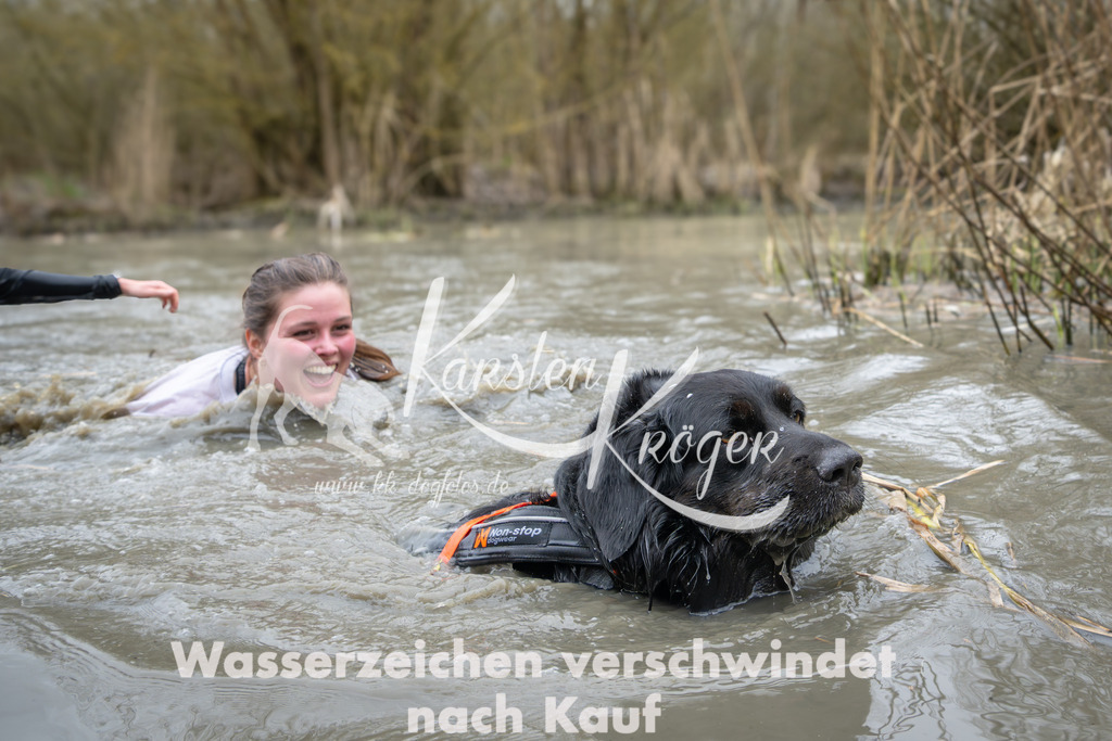 1409_ZZ96961 | kk-dogfotos