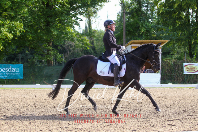 DKP43011 | Turniersportfotografie; Pferdefotografie; Dressurfotografie