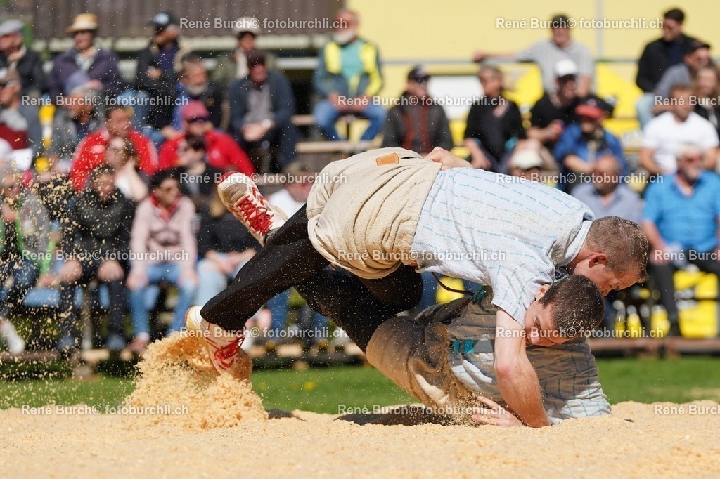 20220418-DSC06897 | René Burch leidenschaftlicher Fotograf aus Kerns in Obwalden.  Hier finden sie Sport, Landschaft und Natur Fotografie.
 - Realisiert mit Pictrs.com