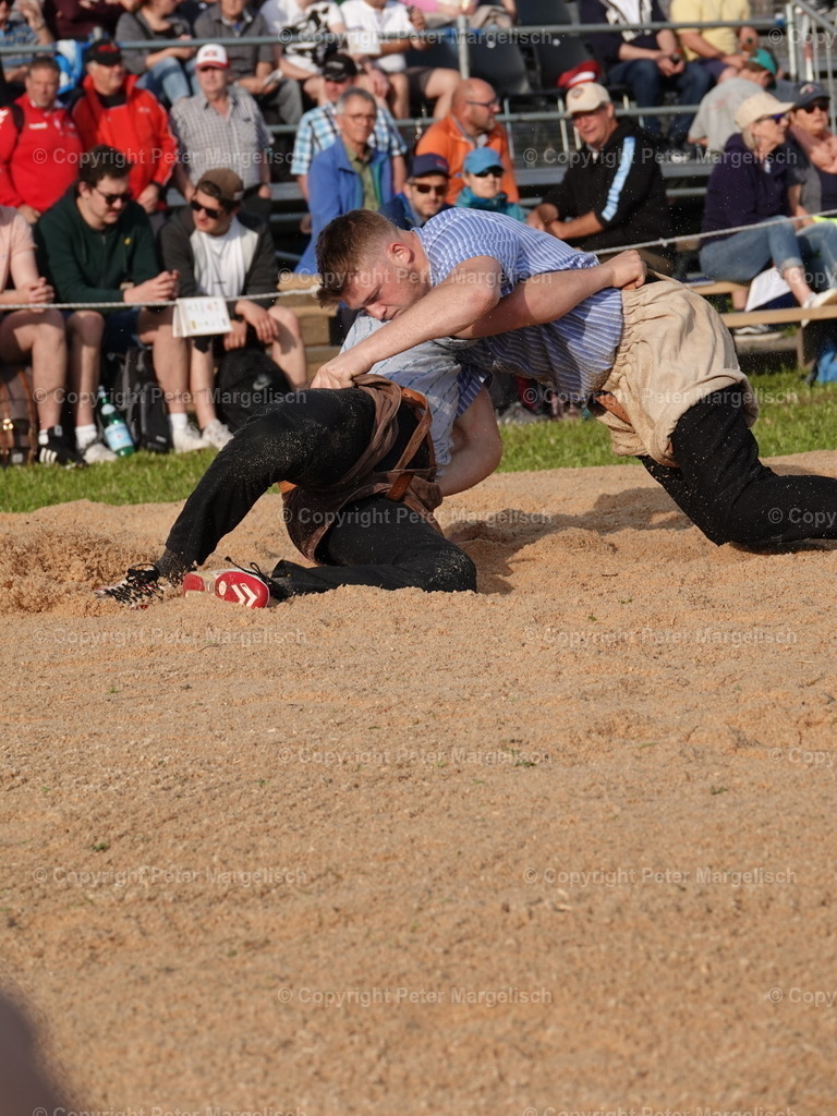 DSC06608 | Schwingen - Realisiert mit Pictrs.com