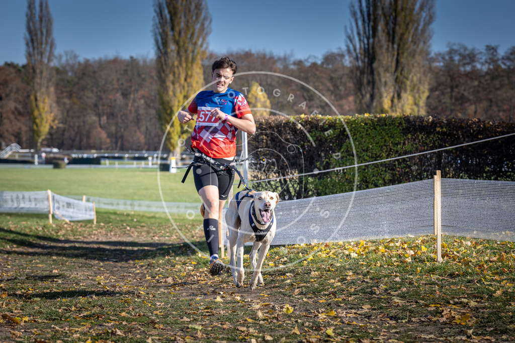 CaniXpix_DV3A8989 | Hundefotografie, Tierfotograf, Pfotenfotografie, Fotoshooting Hund, Hunde Portrait, Hundesport, Hundeportraits, Heideshooting, Hunde, Sportfotograf, Hundefotograf, Turnierhundsport, THS,  - Realisiert mit Pictrs.com